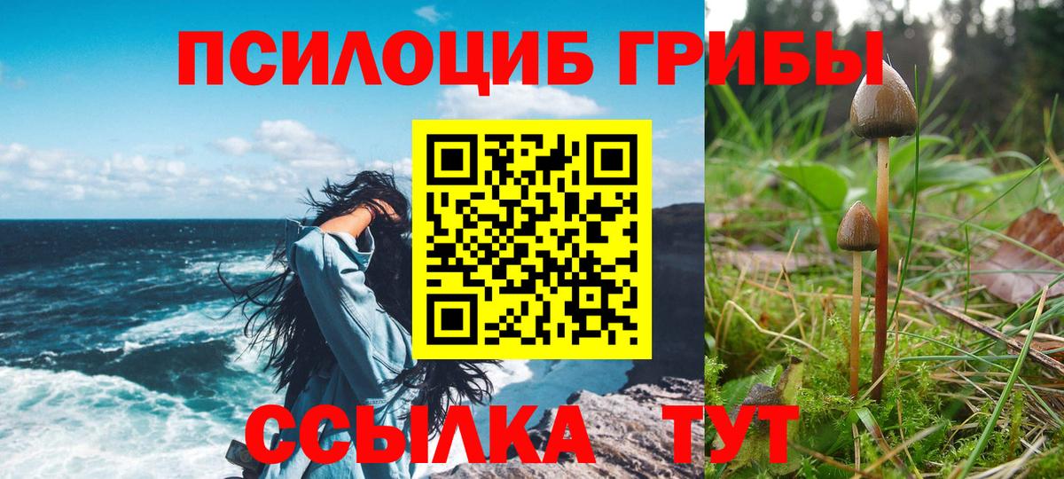 Ярцево  Галлюциногенные грибы Magic Shrooms  Галлюциногенные грибы Magic Shrooms  Вход с VPN 